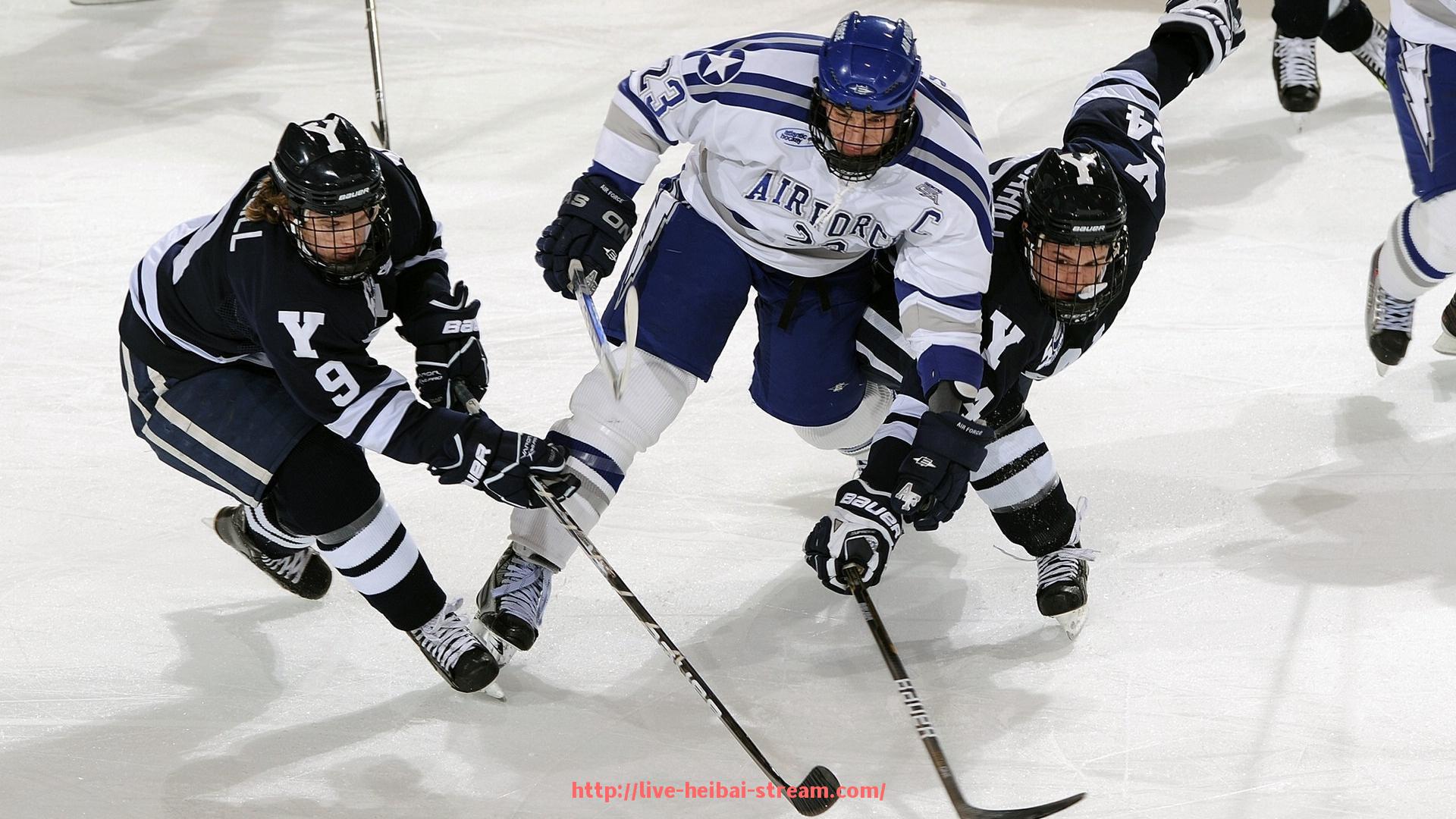 黑白体育直播-家用健身器材女孩专用款推荐及使用效果点评